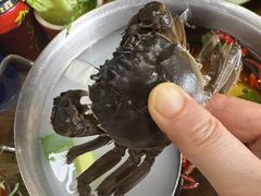 -焰江山海鲜牛排烤肉自助(锦华万达二星店)