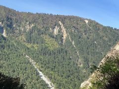 -九寨沟-树正沟