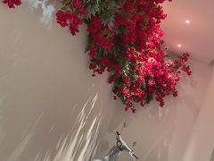-花开餐厅(环湖中路店)