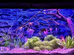 -上海海洋水族馆