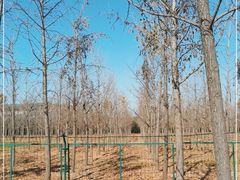 -汉景帝阳陵博物院