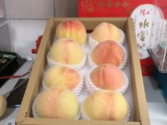 -老袁家蜜桃农场·阳山水蜜桃