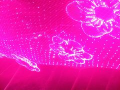 -昆山城市生态森林公园