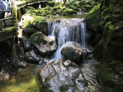 -牛背梁国家森林公园