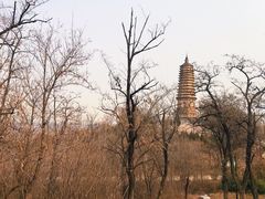 -荆轲塔