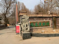-尚庄度假村·庭台树下·户外烧烤·团建CS·轰趴营地(上庄水库店)