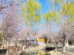 -三里河公园