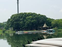 -动邦皮划艇·桨板·独木舟·团建户外运动俱乐部