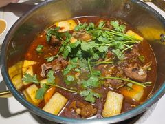 -望蝎门羊蝎子火锅(祭城店)