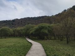 -大水川景区