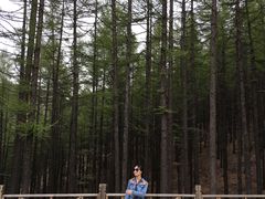 -驼梁风景区