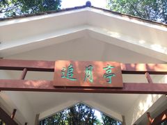 -火炉山森林公园