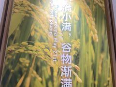 -小满手工粉(北京富力广场店)