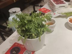-八合里潮汕鲜牛肉火锅(上海汇智广场店)
