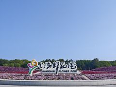 -上海鲜花港