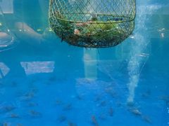 -SHRIMP CLUB万东餐饮钓虾·清吧