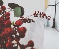 -杨丹国际美学肌研所