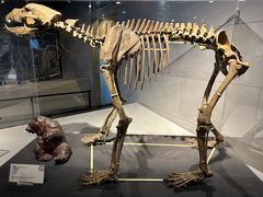 -北京周口店北京人遗址博物馆