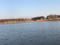 -溱湖国家湿地公园