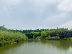 -南湖湿地公园
