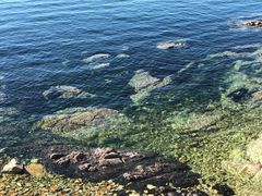 -养马岛旅游度假区