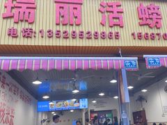 -瑞丽活螃蟹(芒市店)