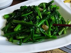 -食德喜·阳山鸡王食研基地