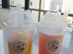 -Husky Go! 哈士奇体验馆·宠物咖啡厅狗咖