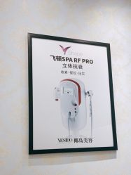 -YESIDO椰岛造型