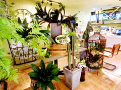 -花蒲甜品(海信广场店)