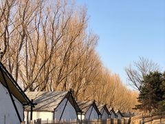 -青龙湖公园