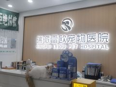 -瑞派雷欧宠物医院·24h夜诊·心脏骨科牙科·全科重症转诊中心(无影山店)