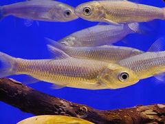 -上海海洋水族馆