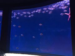 -沈阳海洋探索中心