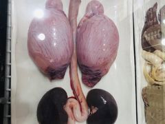 -313羊庄鲜羊火锅·鲜羊肉烧烤(李村店)