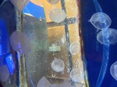 -厦门海底世界