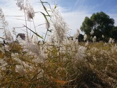 -赛汗塔拉风情园