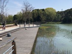 -昆山城市生态森林公园