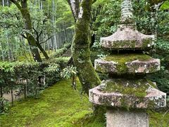 -常寂光寺