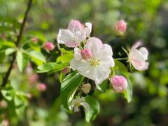 -远洋未来广场(育慧北路店)