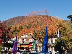 -塔川景区