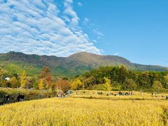 -塔川景区