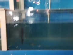 -大眼锅贴饺子(河西店)