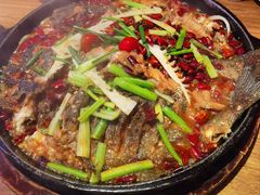 -老板恋上鱼(恒隆广场店)