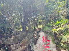 -宜兴张公洞