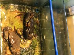 -Isla Sugbu Seafood City