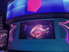 -海底巡游艇:尼莫和好友的海洋世界