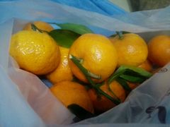 -果多美(纪家庙店)