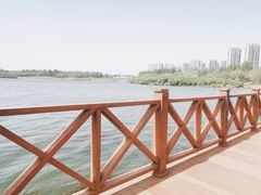-丁香湖公园