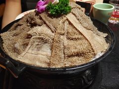 9秒鲜毛肚-蜀江龙火锅(339店)